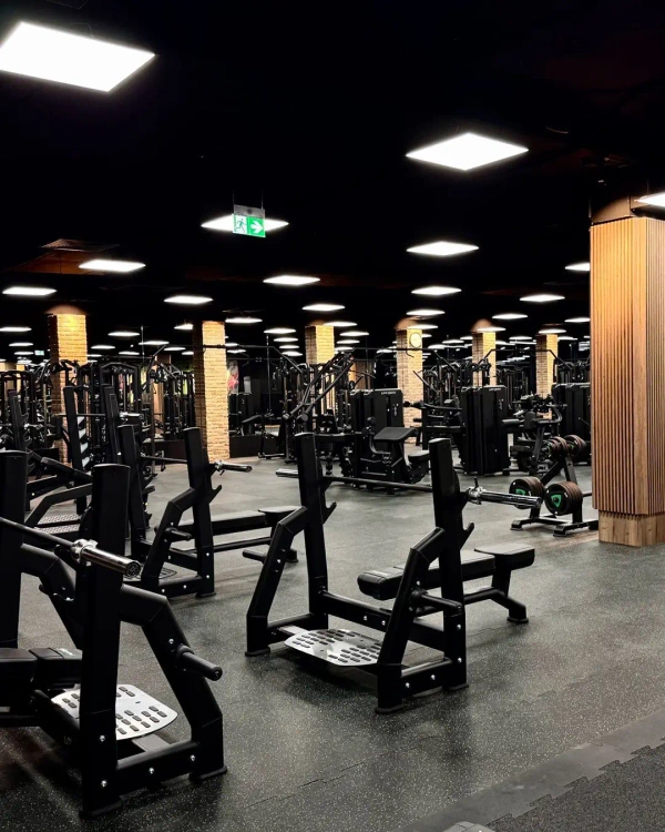 Olympia fekvenyomás lapos UR-L002 - UpForm