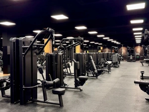 Dual Lat Pulldown UR-U018 – UpForm